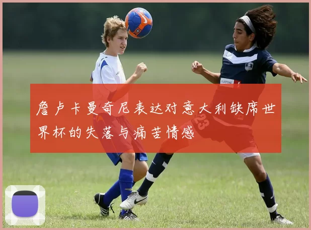 詹卢卡曼奇尼表达对意大利缺席世界杯的失落与痛苦情感