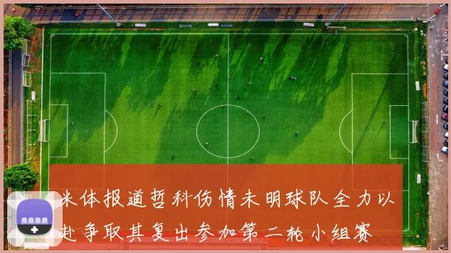 米体报道哲科伤情未明球队全力以赴争取其复出参加第二轮小组赛