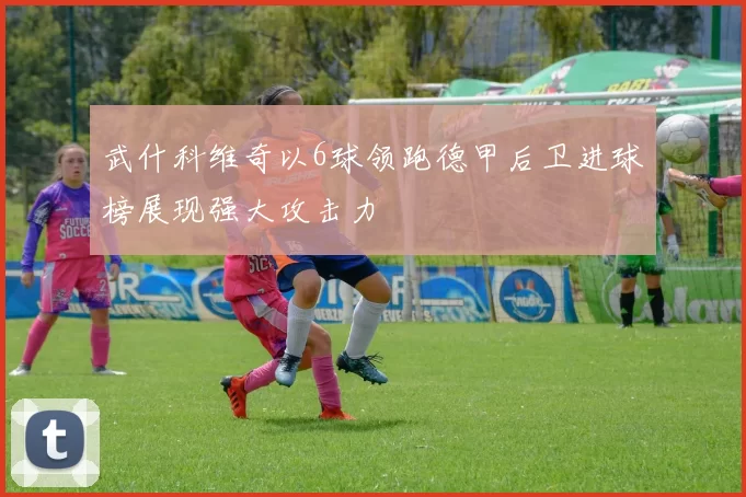 武什科维奇以6球领跑德甲后卫进球榜展现强大攻击力